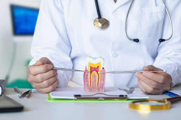 Best Emergency Tooth Extraction in Moosic, PA
